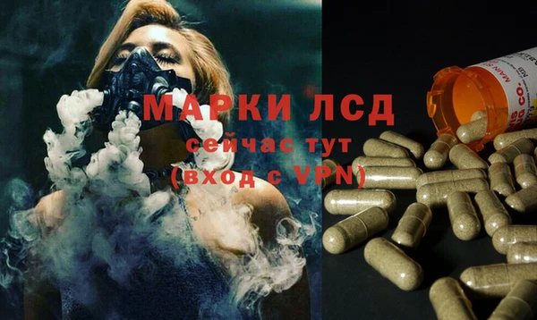 сатива Аркадак