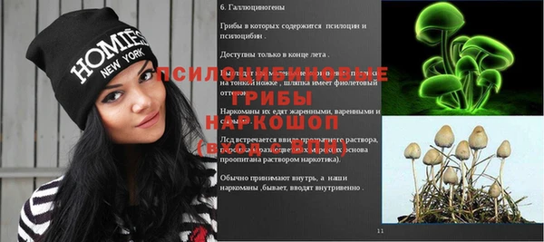 сатива Аркадак