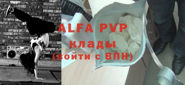 сатива Аркадак