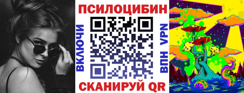 Галлюциногенные грибы Psilocybe  Барыш 